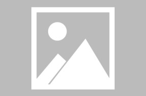 全面解析：mksports